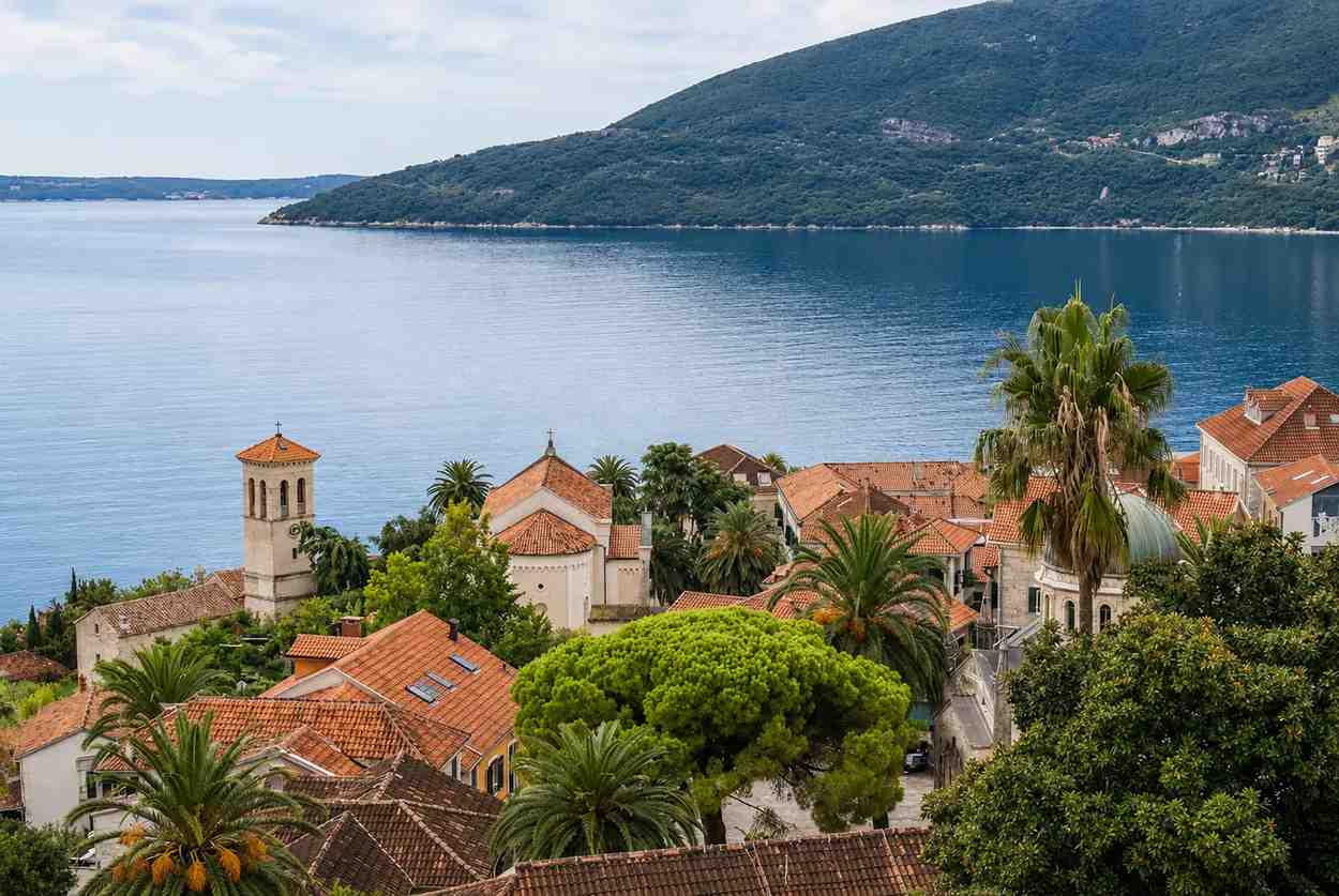 Krovovi starog grada Herceg Novog, palme i zvonici crkava iznad mora